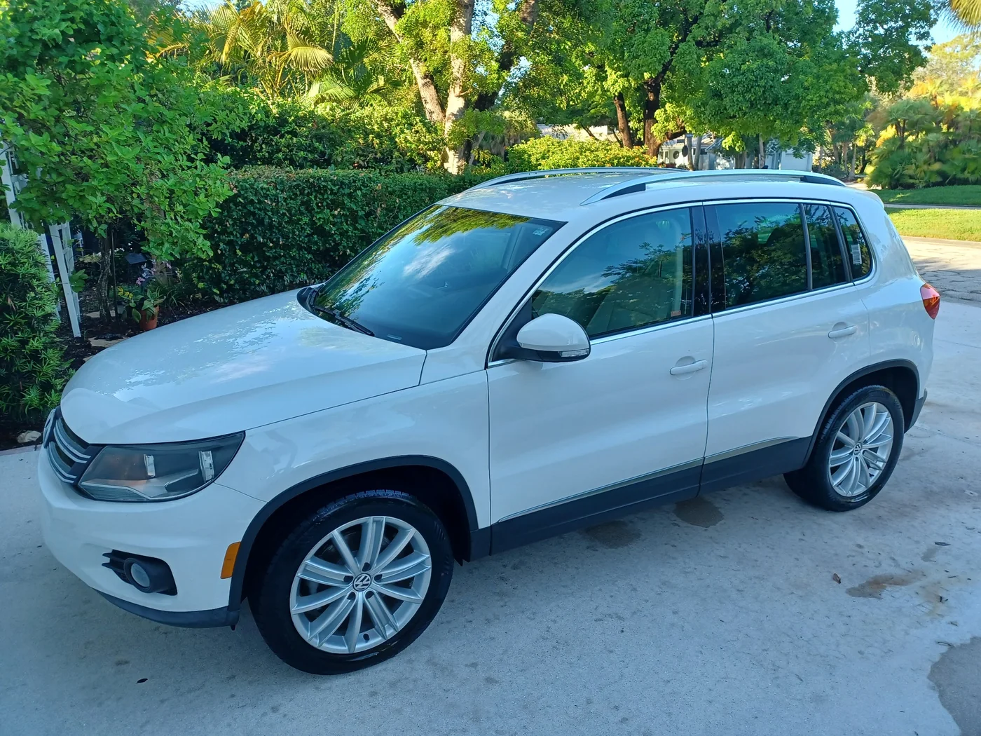 Freshly detailed white Volkswagen Tiguan